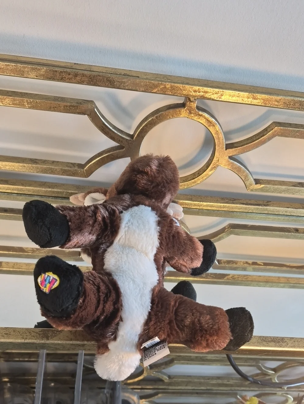 GANZ webkinz soft